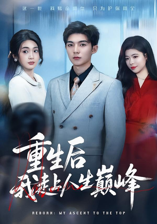 第二十条